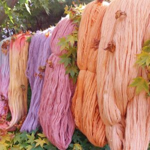 Alpaca + baby alpaca